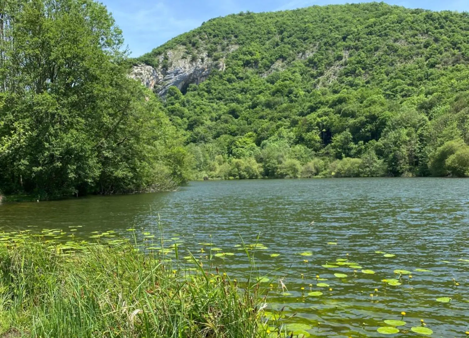Bagnères-de-Luchon Fantastic Ground Floor Apartment Opposite Thermes